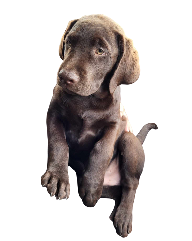 Dynamic DaFREQ Instagram Post with Urban Energy (1)